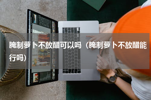 腌制萝卜不放醋可以吗（腌制萝卜不放醋能行吗）