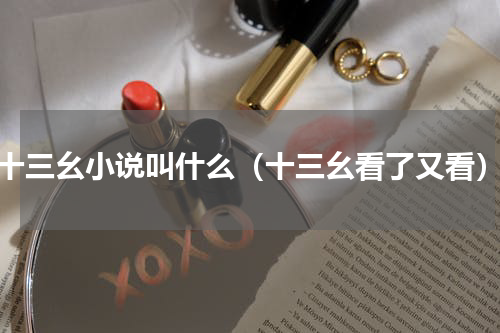 十三幺小说叫什么（十三幺看了又看）