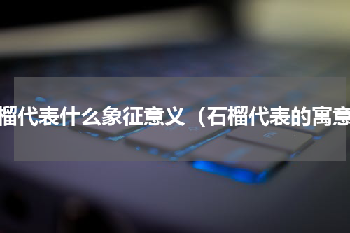 石榴代表什么象征意义（石榴代表的寓意）