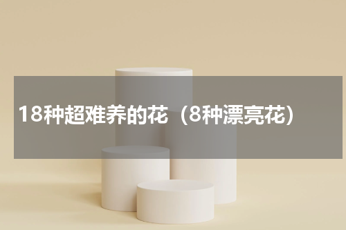 18种超难养的花（8种漂亮花）
