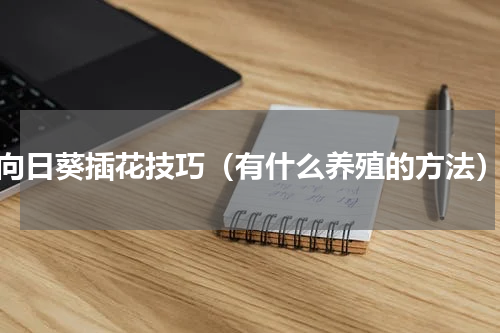 向日葵插花技巧（有什么养殖的方法）