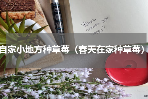 自家小地方种草莓（春天在家种草莓）