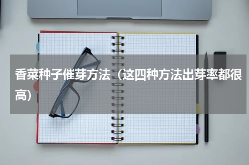 香菜种子催芽方法（这四种方法出芽率都很高）