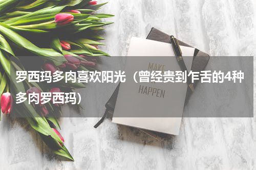 罗西玛多肉喜欢阳光（曾经贵到乍舌的4种多肉罗西玛）
