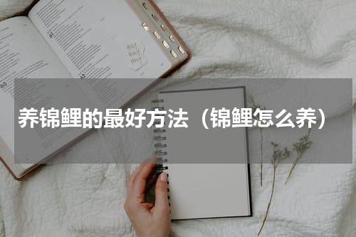养锦鲤的最好方法（锦鲤怎么养）