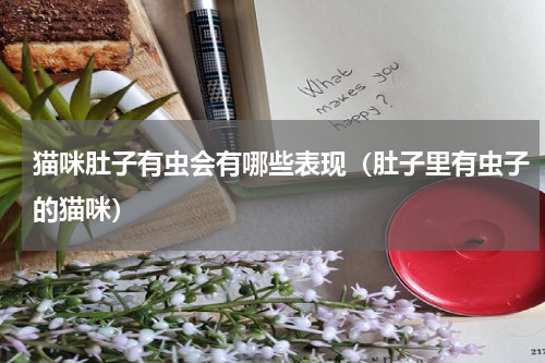 猫咪肚子有虫会有哪些表现（肚子里有虫子的猫咪）