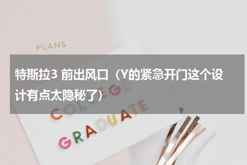 特斯拉3 前出风口（Y的紧急开门这个设计有点太隐秘了）