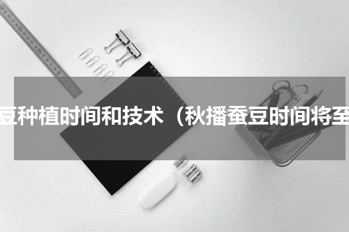 蚕豆种植时间和技术（秋播蚕豆时间将至）