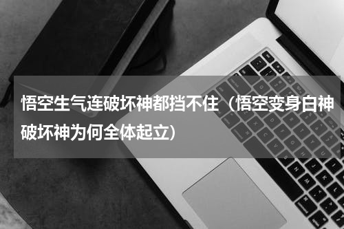 悟空生气连破坏神都挡不住（悟空变身白神破坏神为何全体起立）