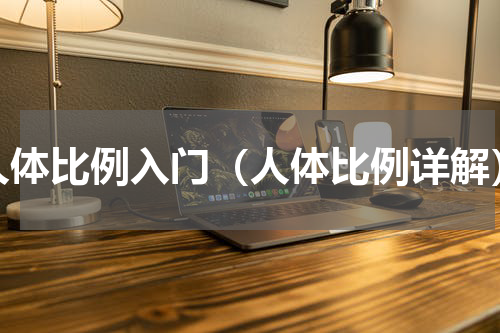 人体比例入门（人体比例详解）