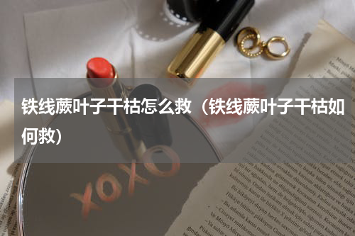 铁线蕨叶子干枯怎么救（铁线蕨叶子干枯如何救）