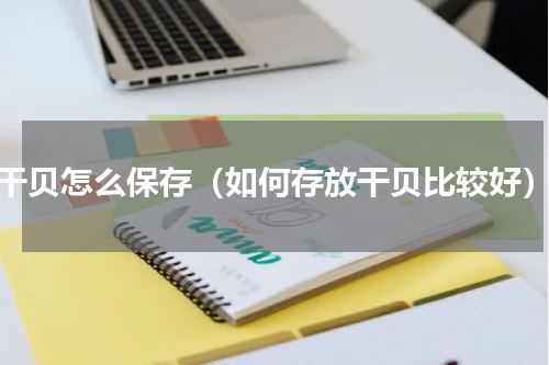 干贝怎么保存（如何存放干贝比较好）
