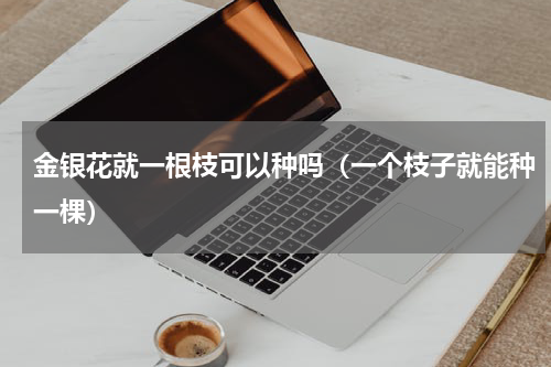 金银花就一根枝可以种吗（一个枝子就能种一棵）