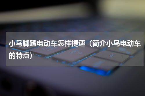 小鸟脚踏电动车怎样提速（简介小鸟电动车的特点）