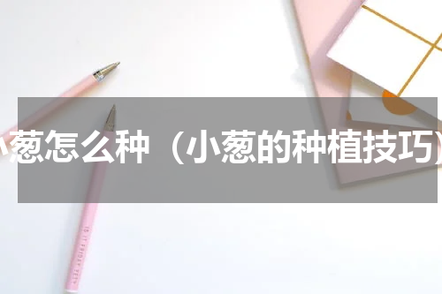 小葱怎么种（小葱的种植技巧）