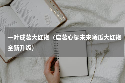 一叶成茗大红袍（启茗心耀未来曦瓜大红袍全新升级）