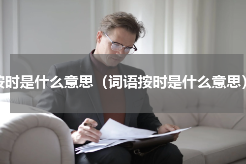 按时是什么意思（词语按时是什么意思）