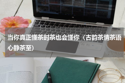 当你真正懂茶时茶也会懂你（古韵茶情茶语心静茶至）