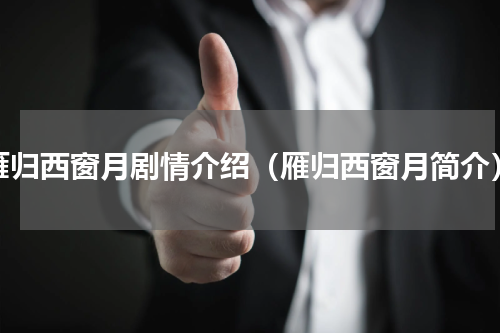 雁归西窗月剧情介绍（雁归西窗月简介）