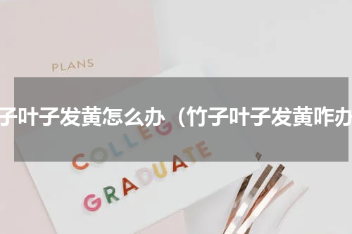 竹子叶子发黄怎么办（竹子叶子发黄咋办）