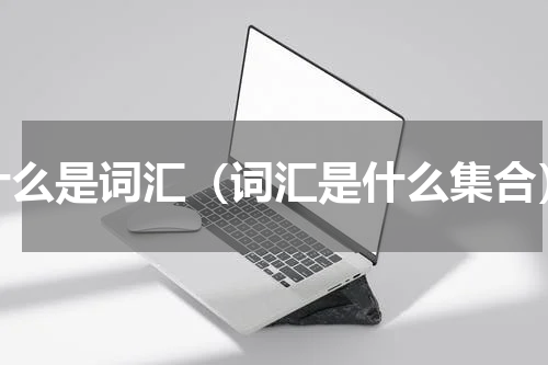什么是词汇（词汇是什么集合）