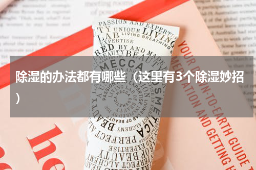除湿的办法都有哪些（这里有3个除湿妙招）