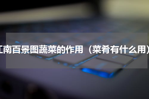 江南百景图蔬菜的作用（菜肴有什么用）