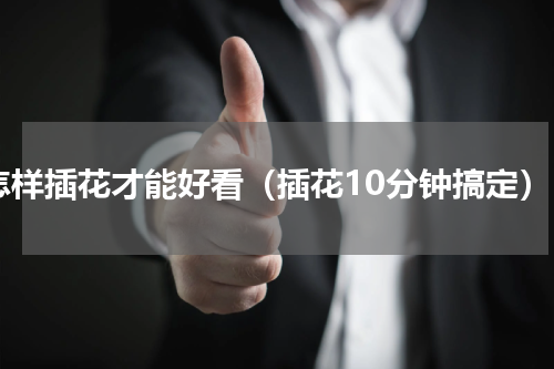 怎样插花才能好看（插花10分钟搞定）