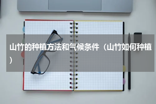 山竹的种植方法和气候条件（山竹如何种植）