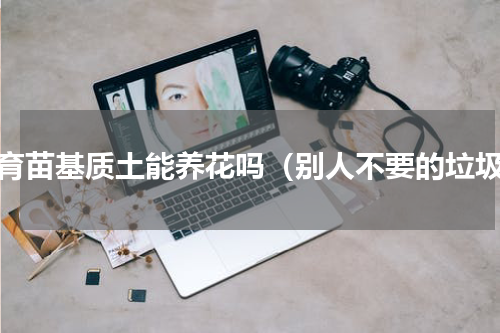 旧育苗基质土能养花吗（别人不要的垃圾）