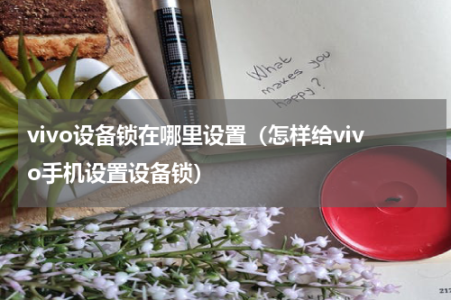 vivo设备锁在哪里设置（怎样给vivo手机设置设备锁）