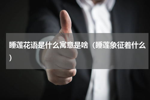 睡莲花语是什么寓意是啥（睡莲象征着什么）