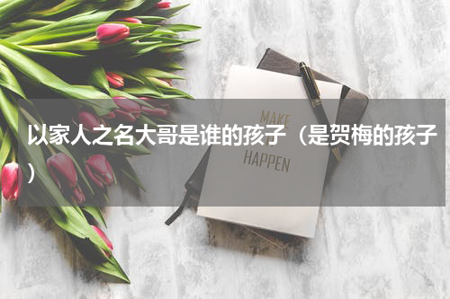 以家人之名大哥是谁的孩子（是贺梅的孩子）