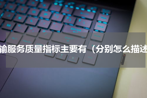 运输服务质量指标主要有（分别怎么描述）