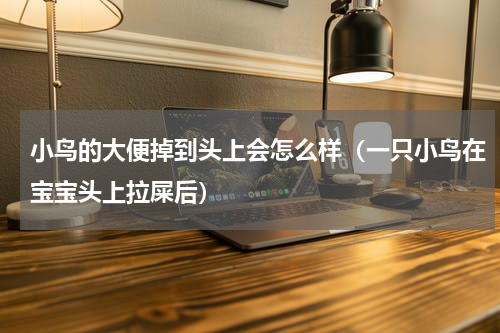 小鸟的大便掉到头上会怎么样（一只小鸟在宝宝头上拉屎后）