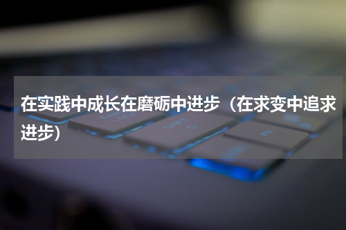 在实践中成长在磨砺中进步（在求变中追求进步）
