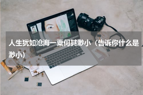 人生犹如沧海一粟何其渺小（告诉你什么是渺小）