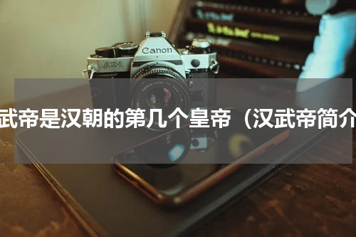 汉武帝是汉朝的第几个皇帝（汉武帝简介）