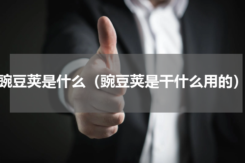 豌豆荚是什么（豌豆荚是干什么用的）