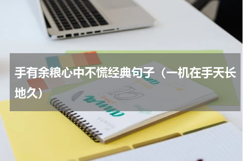 手有余粮心中不慌经典句子（一机在手天长地久）