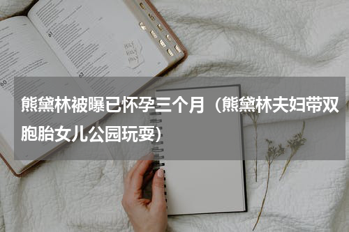 熊黛林被曝已怀孕三个月（熊黛林夫妇带双胞胎女儿公园玩耍）
