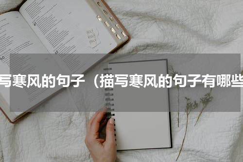 描写寒风的句子（描写寒风的句子有哪些）