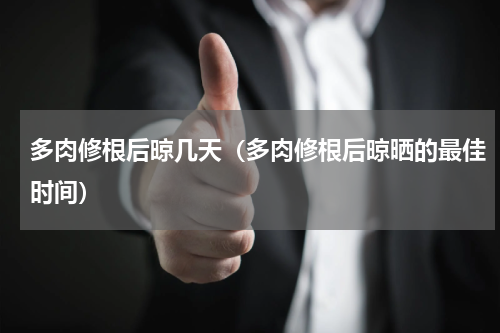 多肉修根后晾几天（多肉修根后晾晒的最佳时间）
