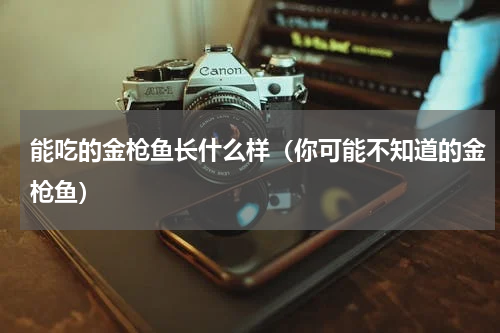 能吃的金枪鱼长什么样（你可能不知道的金枪鱼）