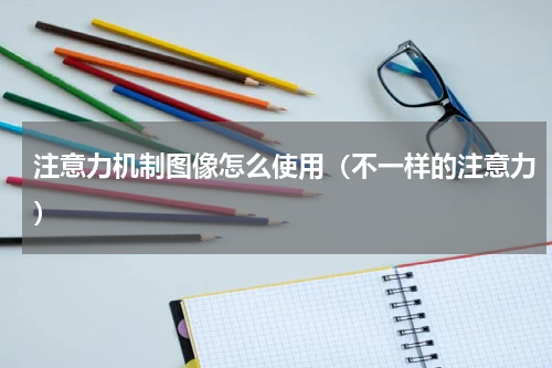 注意力机制图像怎么使用（不一样的注意力）