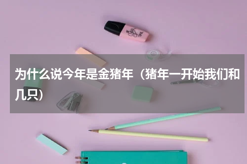 为什么说今年是金猪年（猪年一开始我们和几只）