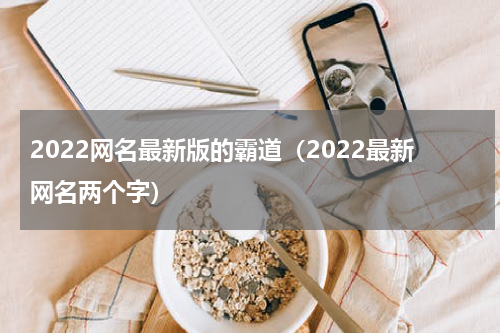 2022网名最新版的霸道（2022最新网名两个字）
