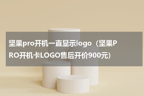 坚果pro开机一直显示logo（坚果PRO开机卡LOGO售后开价900元）