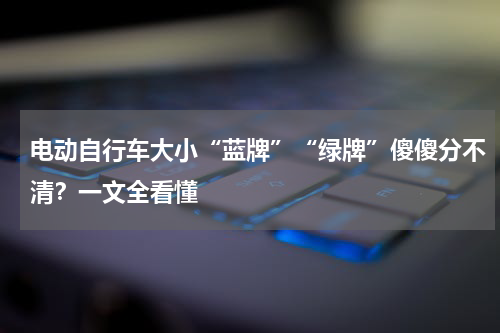 电动自行车大小“蓝牌”“绿牌”傻傻分不清？一文全看懂