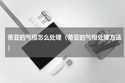 蒂亚的气根怎么处理（蒂亚的气根处理方法）